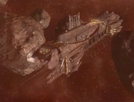 Griffon.JPG